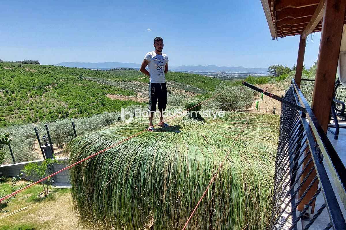 Çin Otu Hasır Kamelya Çatıları Nasıl Yapılır?