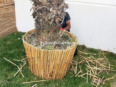 Bambu Dekorasyon